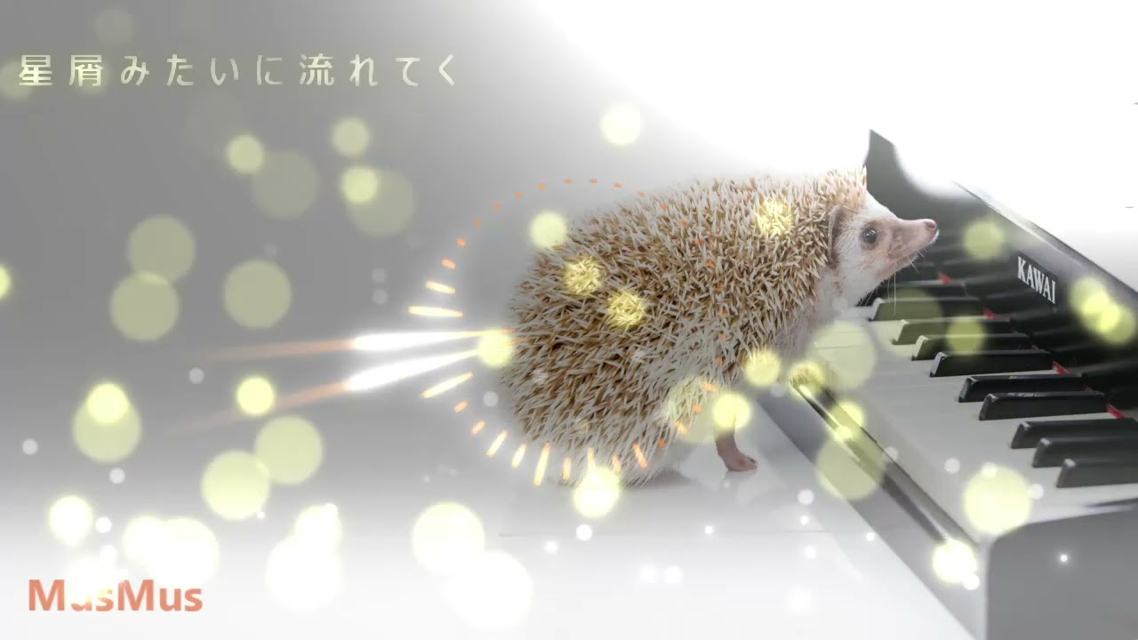 星屑みたいに流れてく / ボーカル曲 / フリーBGM・音楽素材MusMus