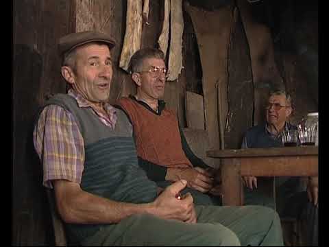 Aprene l'armonica