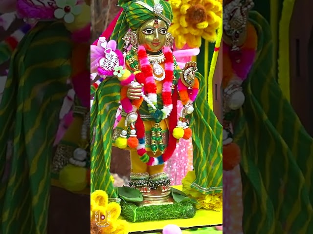 હરિકૃષ્ણ મહારાજ