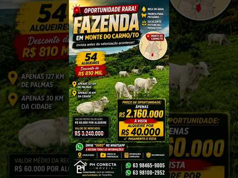 FAZENDA À VENDA EM MONTE DO CARMO-TO, SUPER OFERTA RURAL NO TOCANTINS,  BAIXOU MAIS UMA VEZ