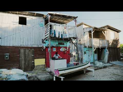 DJ Tahira - Afro - Música Brasileira - Brazilian Music - Samba - Carimbó - Ijexá -  Coco 2025