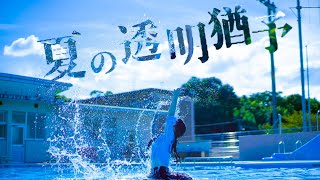miolly - 夏の透明猶予(Music Video)