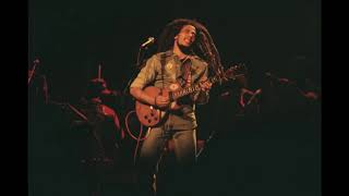 08-Revolution - Bob Marley &amp; The Wailers Live At Deeside Leisure Centre, Wales, 12-07-1980