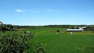 Suvivirsi - Jo joutui armas aika - Den blomstertid nu kommer