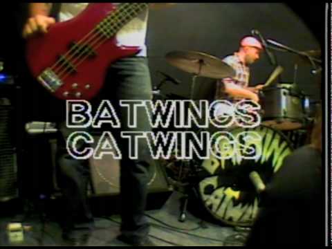 batwings catwings - peacock
