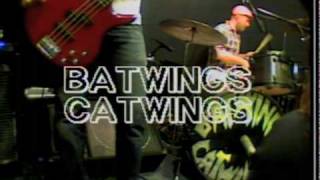 batwings catwings - peacock