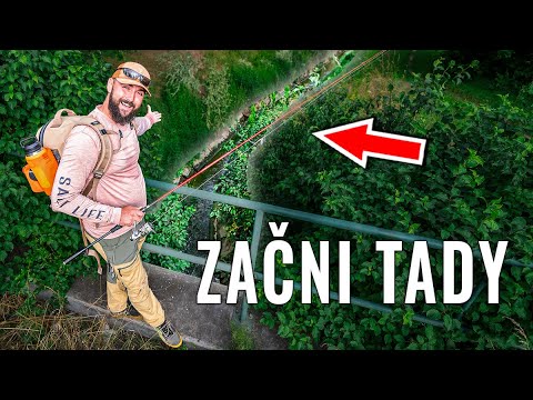 Žijí nějaké ryby v tomto extrémně malém potůčku?! (PŘEKVAPENÍ😲)