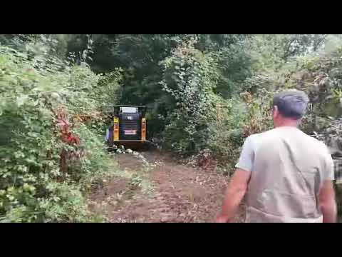 Trincia Fae con Cat ,lavori forestali