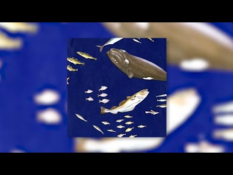 The Fisherman - Stornoway