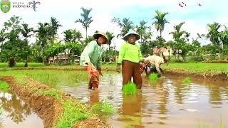 Download lagu RUSLI EFFENDI & UMI KALSUM - KASIH TAK SAMPAI - GITAR TUNGGAL BATANGHARI SEMBILAN SUMATERA SELATAN . mp3