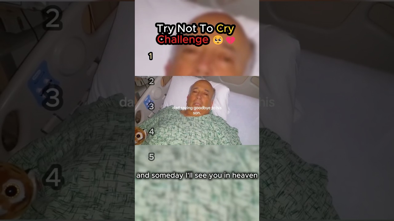 Try Not To Cry Challenge 💔Last One Will Make You Cry (Part 11) #shorts  #father #cat