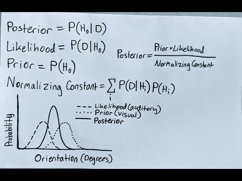 Unit 7: Computational Neuroscience