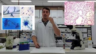 Aula Pratica 4 - Exame microscópico de microrganismos