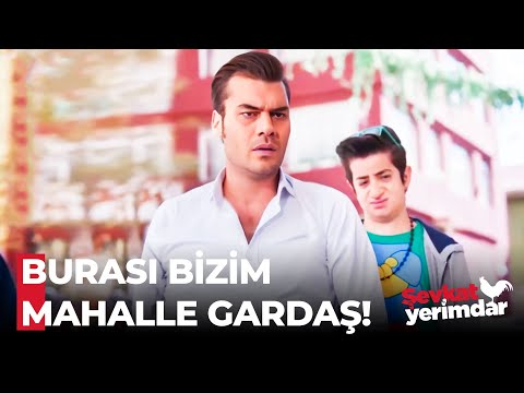 Semt Bizim Ev Kira Part 6 - Şevkat Yerimdar