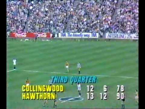 VFL R 11 1984 - Collingwood v Hawthorn