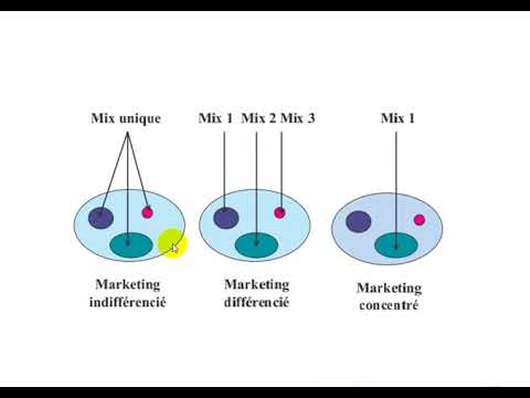 5 Digital Marketing Skills to Master for 2020 Beyond