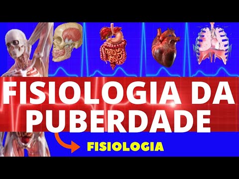 Physiology of Puberty (Guyton's Physiology) - Female Puberty - Human Physiology