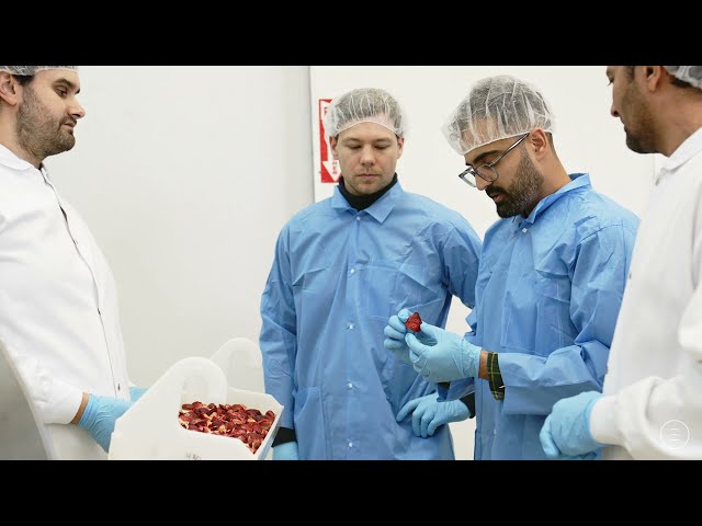 imagen-video-thefoodtech