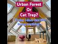 R90 Cat Titi Trapped In Rotterdam Cube House Netherlands Travel Citywalk Catadventure