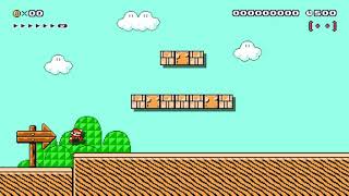 Super Warp World 2-2 Life is About Choices any% RTA speedrun route