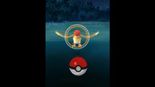 ポケモンgo攻略 コンパンがモルフォンに進化 Toy Kids トイキッズ Pokemon Go Japan تنزيل الموسيقى Mp3 مجانا ポケモンgo攻略 コンパンがモルフォンに進化 Toy Kids トイキッズ Pokemon Go Japan تنزيل الموسيقى Mp3 مجانا