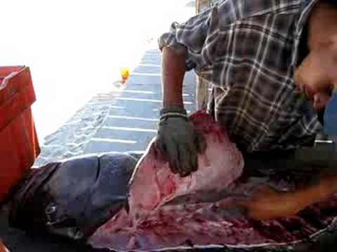 To the butchers table.....#2