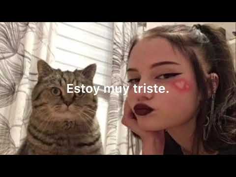 Missing Kitty - Kreayshawn // Sub esp