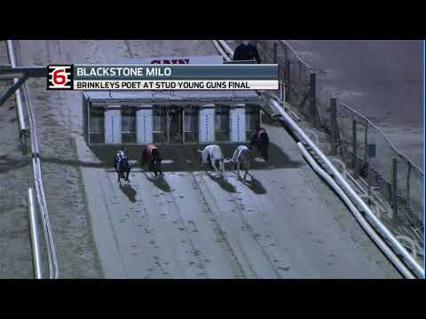 2020 BRINKLEYS POET YOUNG GUNS FINAL - T6 BLACKSTONE MILO