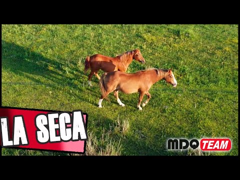 Touring with LA SECA