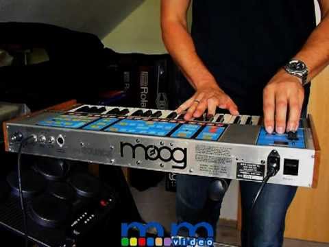 Vintage Synthesizers I Moog Source