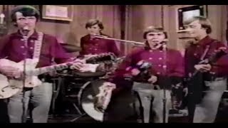 DON'T BRING ME DOWN (THE MONKEES) FAN VIDEO