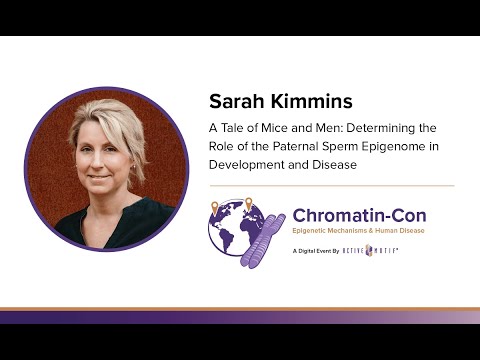 Sarah Kimmins - Role of the Paternal Sperm Epigenome in Development and Disease: Chromatin-Con: 2021