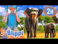 Blippi Learns About Jungle Animals Blippi And Meekah Best Friend Adventures Educational Videos