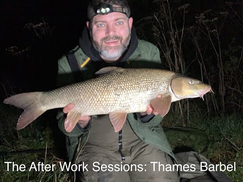 The After Work Sessions: Thames Barbel (Part 1)