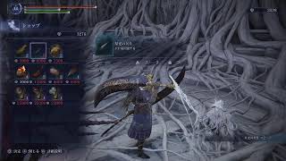 初心者観察ナイトレイン