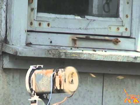 Wasp Killing Machine