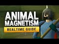 RS3 Animal Magnetism Realtime Quest Guide