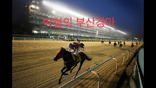 부산경마 추천마 - 7월 둘째주