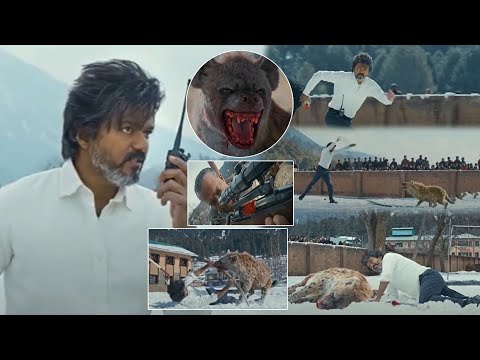 Thalapathy Vijay vs Hyena Fight Scenes || Leo Movie Scenes @tfcmaacinemalu