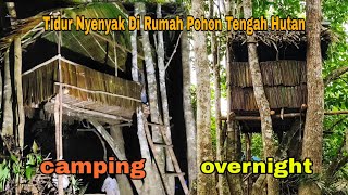 Download lagu SLEEP SOUNDLY IN A TREE HOUSE IN THE MIDDLE OF THE FOREST || ACCOMPANIED BY THE SOUNDS OF WILD CR... mp3