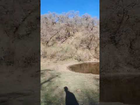 SENDEROS DE SAN LORENZO, SALTA ARGENTINA...