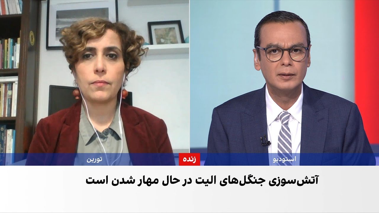 رییس پیشین سازمان حفاظت محیط‌زیست: باران که ببارد آتش جنگل هیرکانی خود خاموش