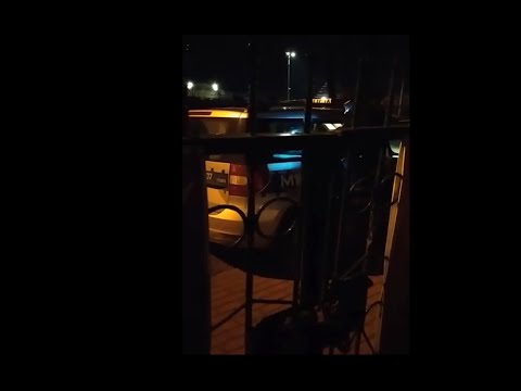 Kononowicz and Fiodor - A spectator attacks the Belvedere and is caught by the police