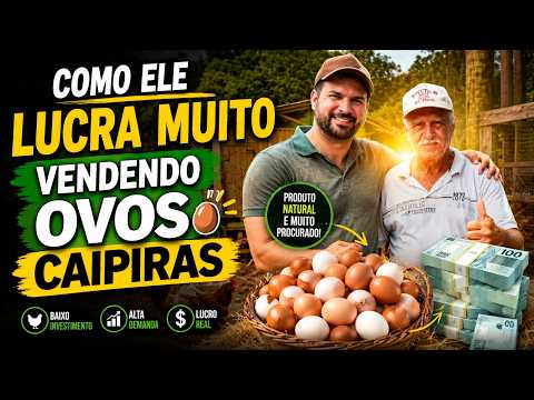 REVELADO: COMO LUCRAR VENDENDO OVOS CAIPIRAS em supermercado — a granja regularizada do seu valdir