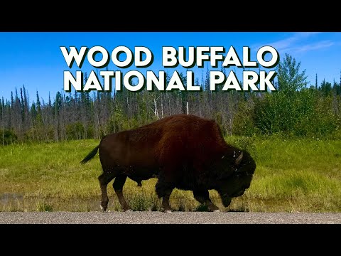 Wood Buffalo National Park - Northwest Territories &...