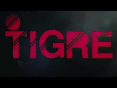 "O TIGRE" TEASER | BIXIGA 70 & INDEE STYLA