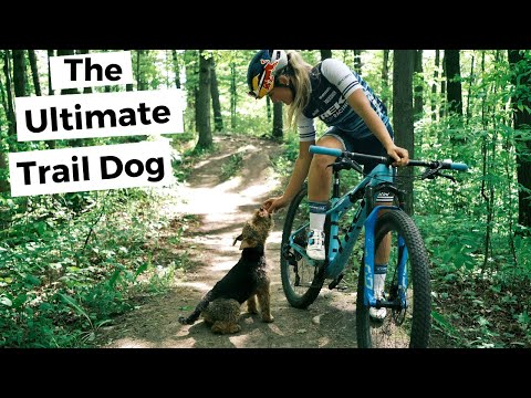 Emily a její pejsek