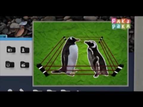 Diario de viaje: Pingüinos Magallánicos - Canal Pakapaka