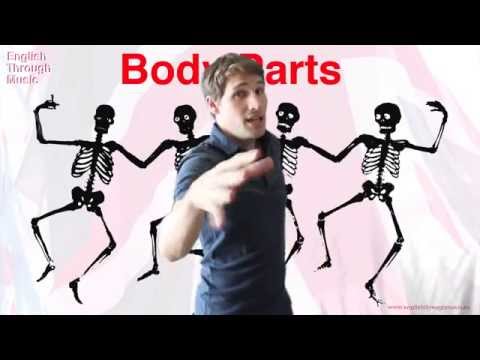 Body Parts | Song for kids children | This & These | English Through Music