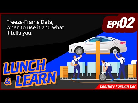 Freeze-Frame Data, when to use it and what it tells you - Lunch and Learn Episode 2